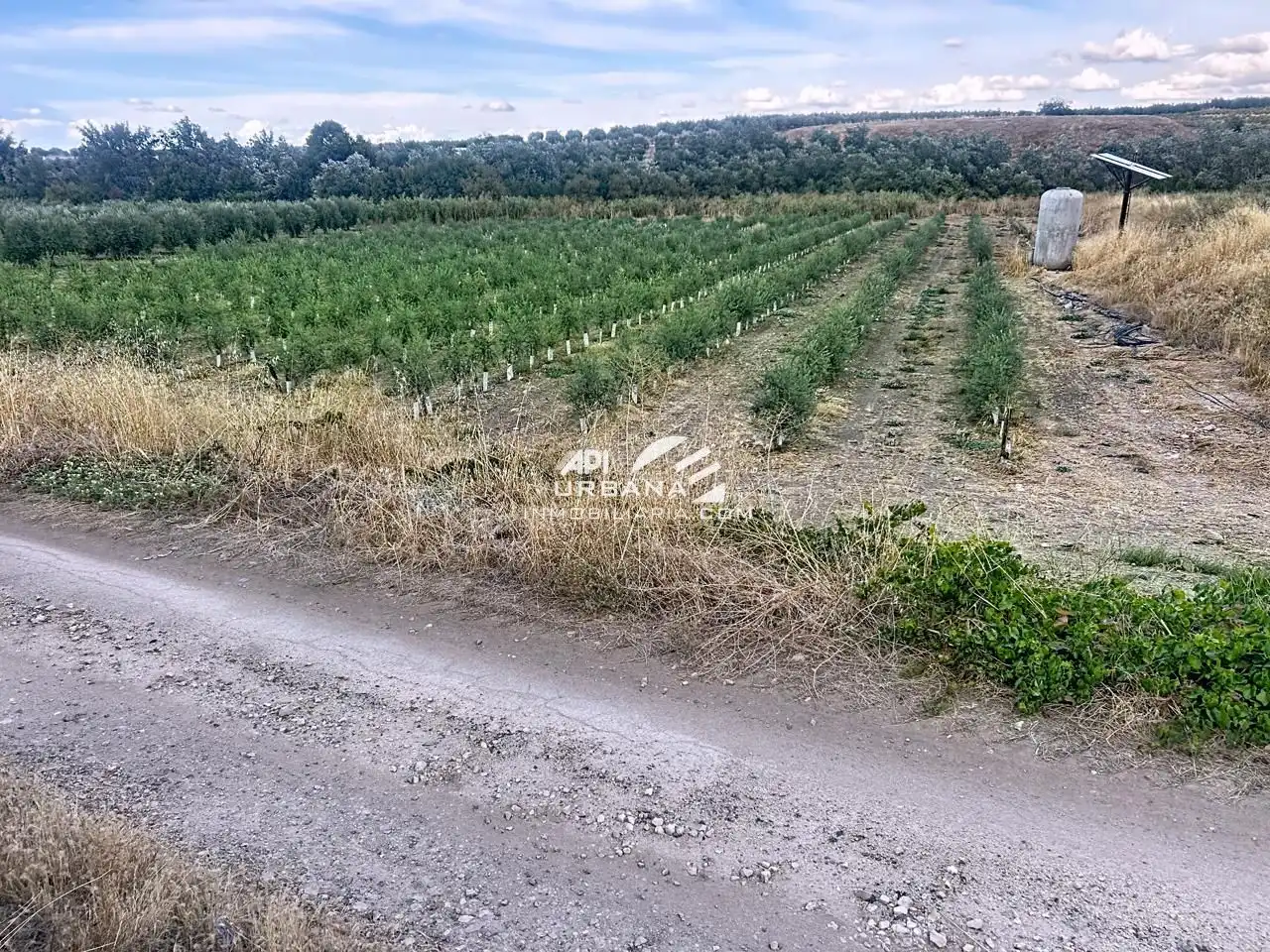 Grundstücke und Bauplätze zum Verkauf in Huertas de Monturque, imagen 6