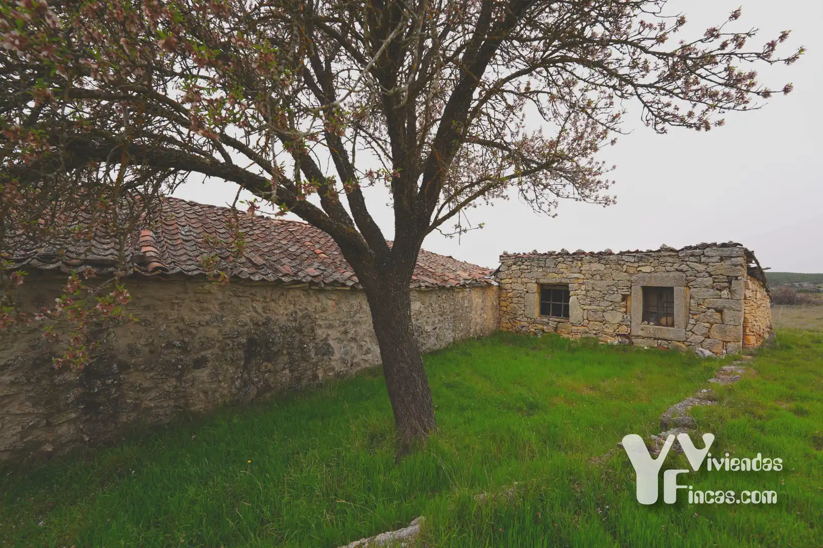 Fabrikhallen zum Verkauf in Valdevacas de Montejo