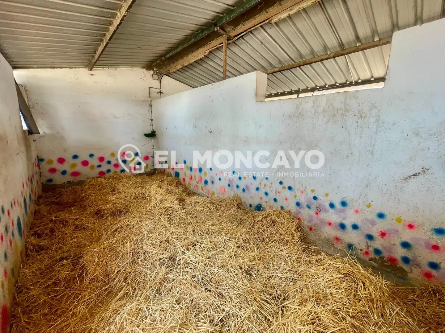 Casa con piscina en venta en Dolores, imagen 37
