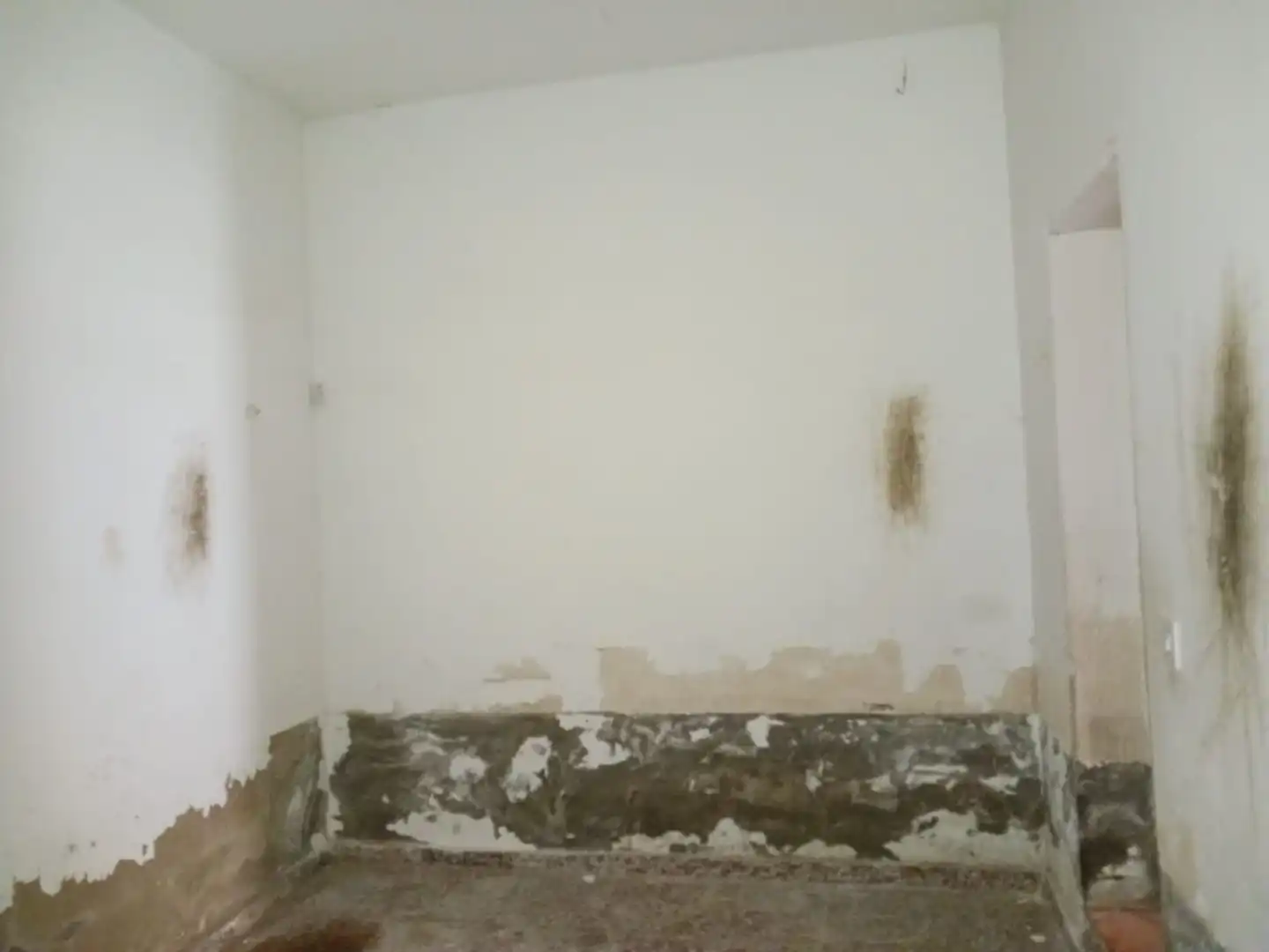 Adossat amb jardí en venda a Calle San José, imagen 14