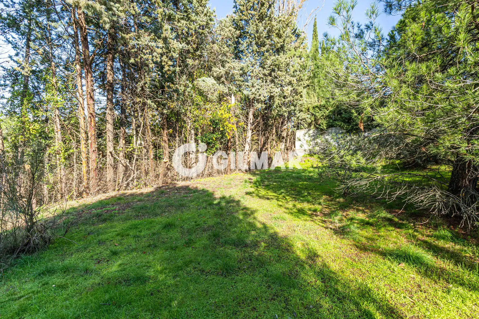 Casa o xalet en venda en Monte Rozas