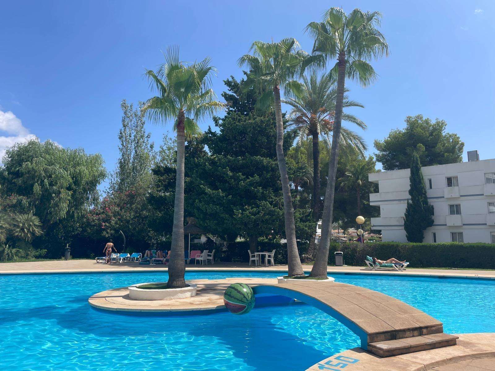 Piscina de Estudi per a compartir en Alcúdia amb Aire condicionat i Terrassa