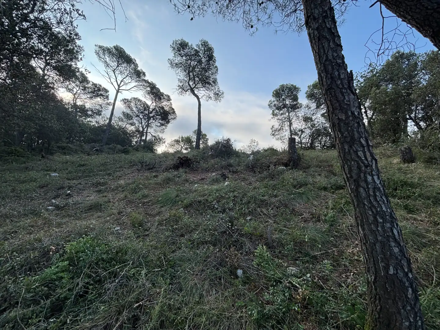 Residential land for sale in Carrer Pasarell, imagen 8