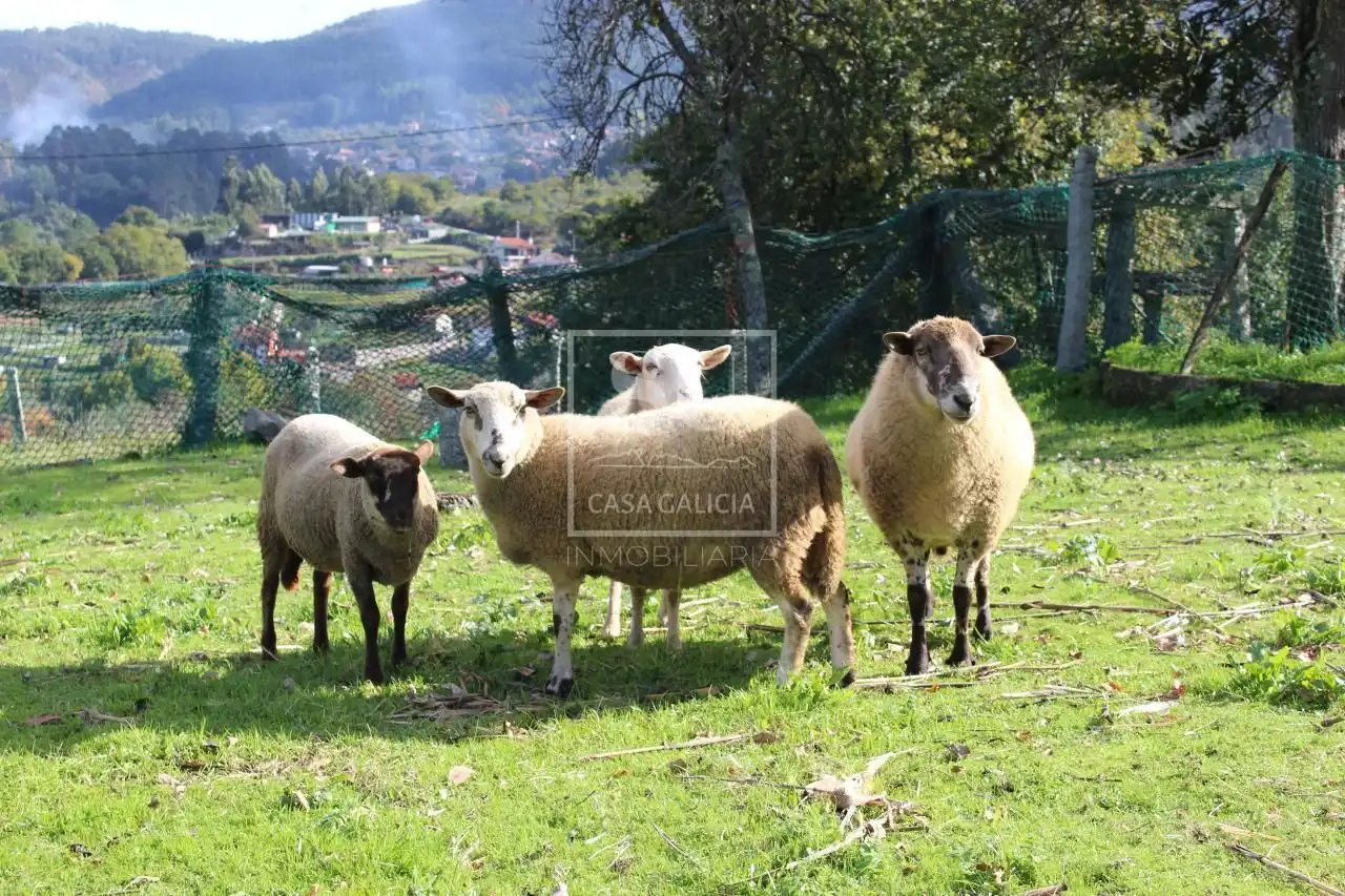 Casa con jardín en venta en Gondomar, imagen 19