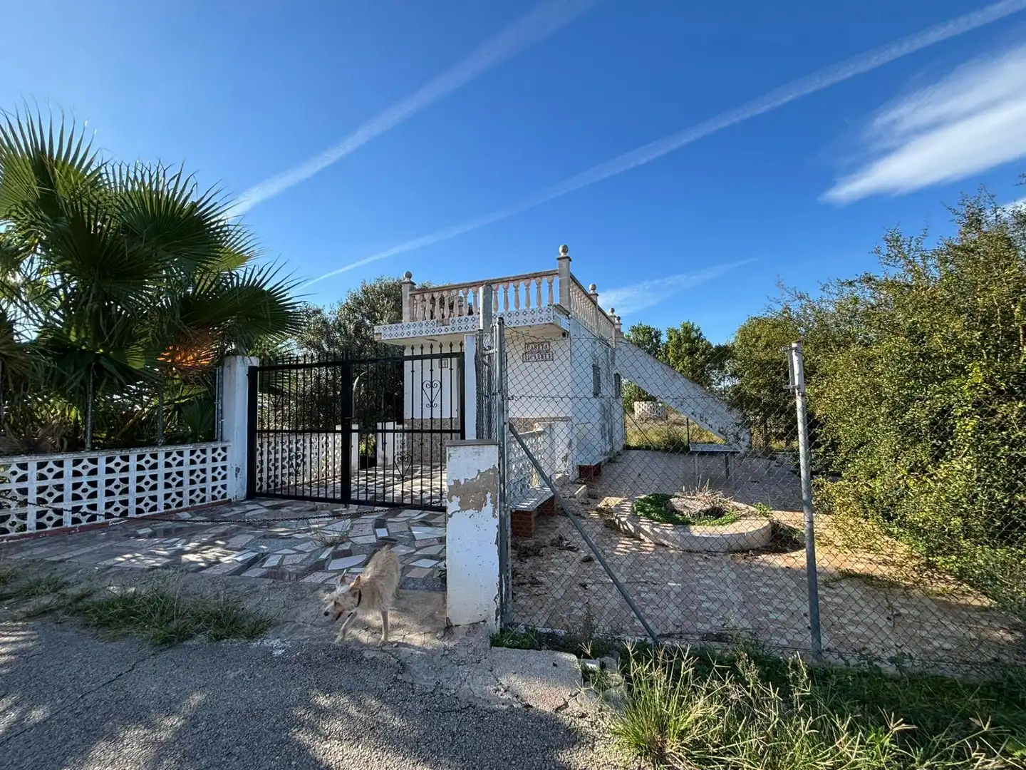 Vista exterior de Finca rústica en venta en Carcaixent con Jardín privado y Terraza