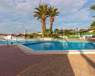 Swimming pool of Residential for sale in Torrevieja