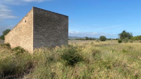Foto 4 de Finca rústica en venta en Santa Bàrbara, Tarragona
