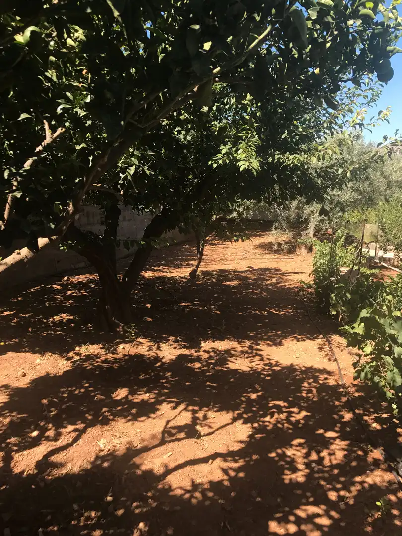 Terreno rústico en venta en Motril  ciudad, imagen 7