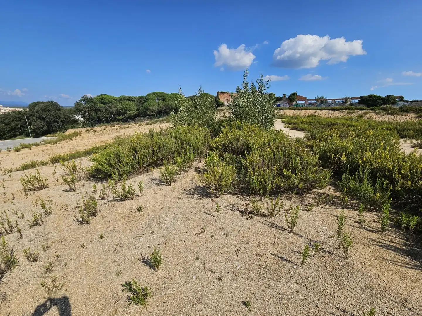 Terrenos y solares en venta en Palafolls, imagen 5