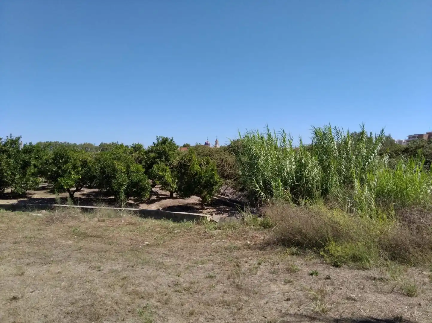 Residential land for sale in Plaça Numero 17 Racona 276