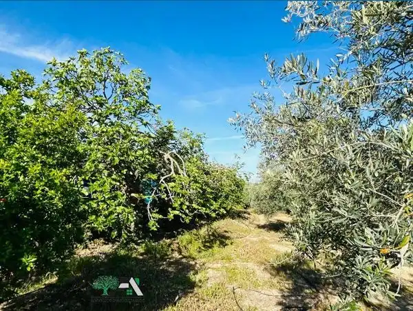 Terreni e lotti in vendita a Baeza, imagen 20