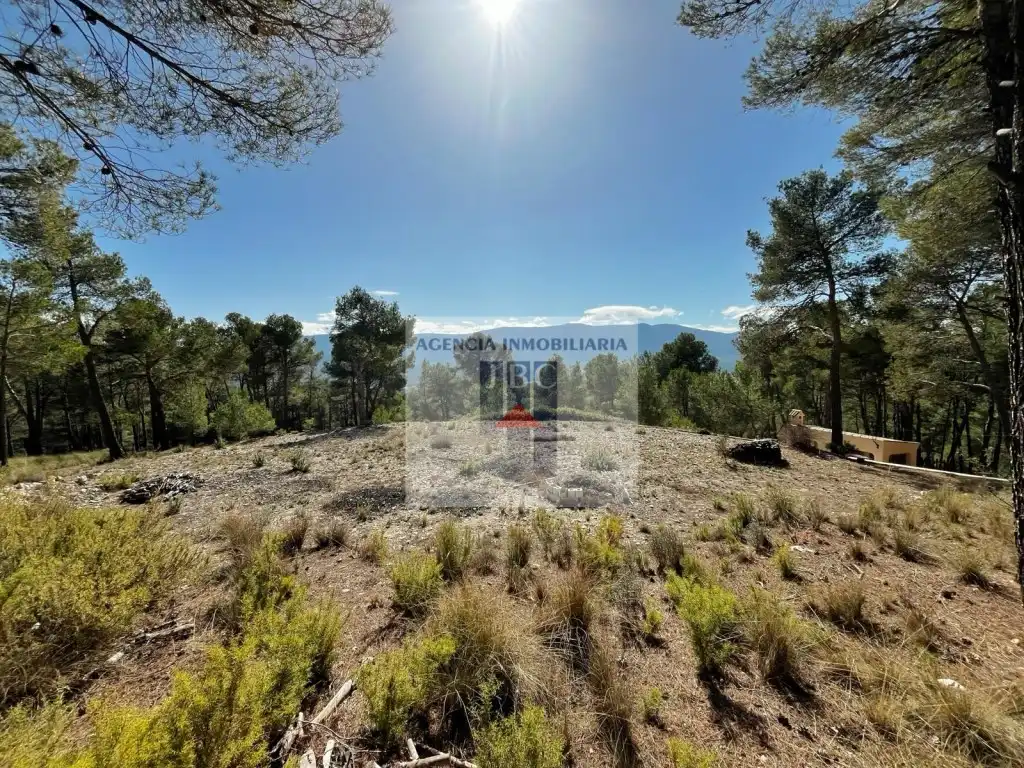 Finca rústica en venda en Alcoy / Alcoi amb Forn