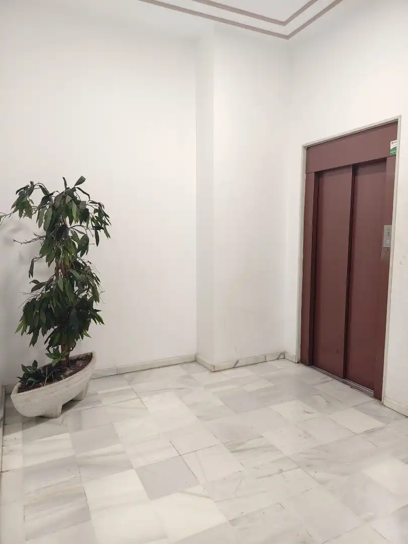 Pis de lloguer a Carrer del Capità Antoni Mena, Sector V