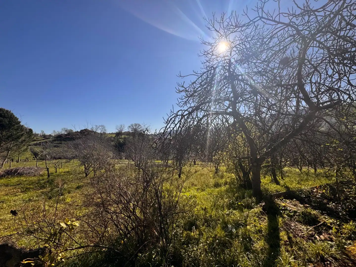 Casa o chalet en venta en Piloña con Calefacción