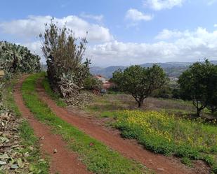 Land for sale in Calle Cuevas Morenas, El Palmar