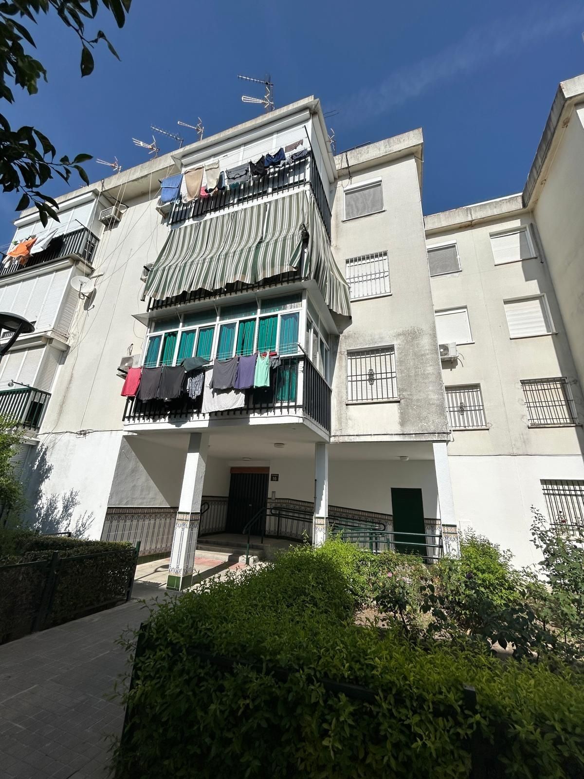 Exterior view of Flat for sale in Utrera  with Terrace