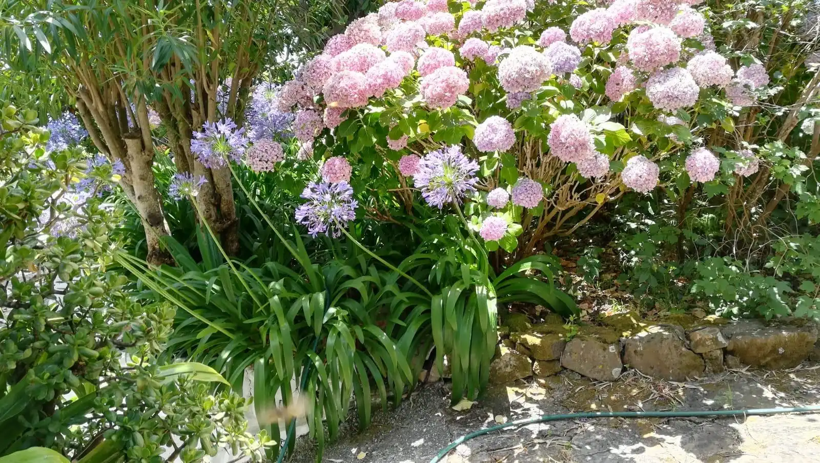 Jardí de Casa o xalet en venda en Algeciras