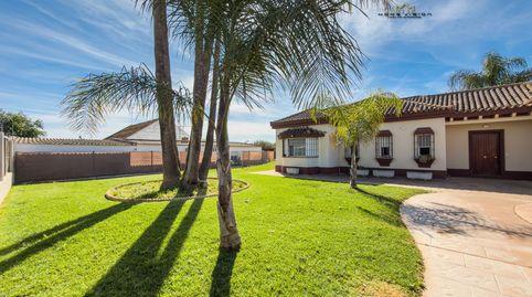 Photo 2 of Houses for sale in Caballero Bonald - San José Obrero - Guadalcacín, Jerez de la Frontera