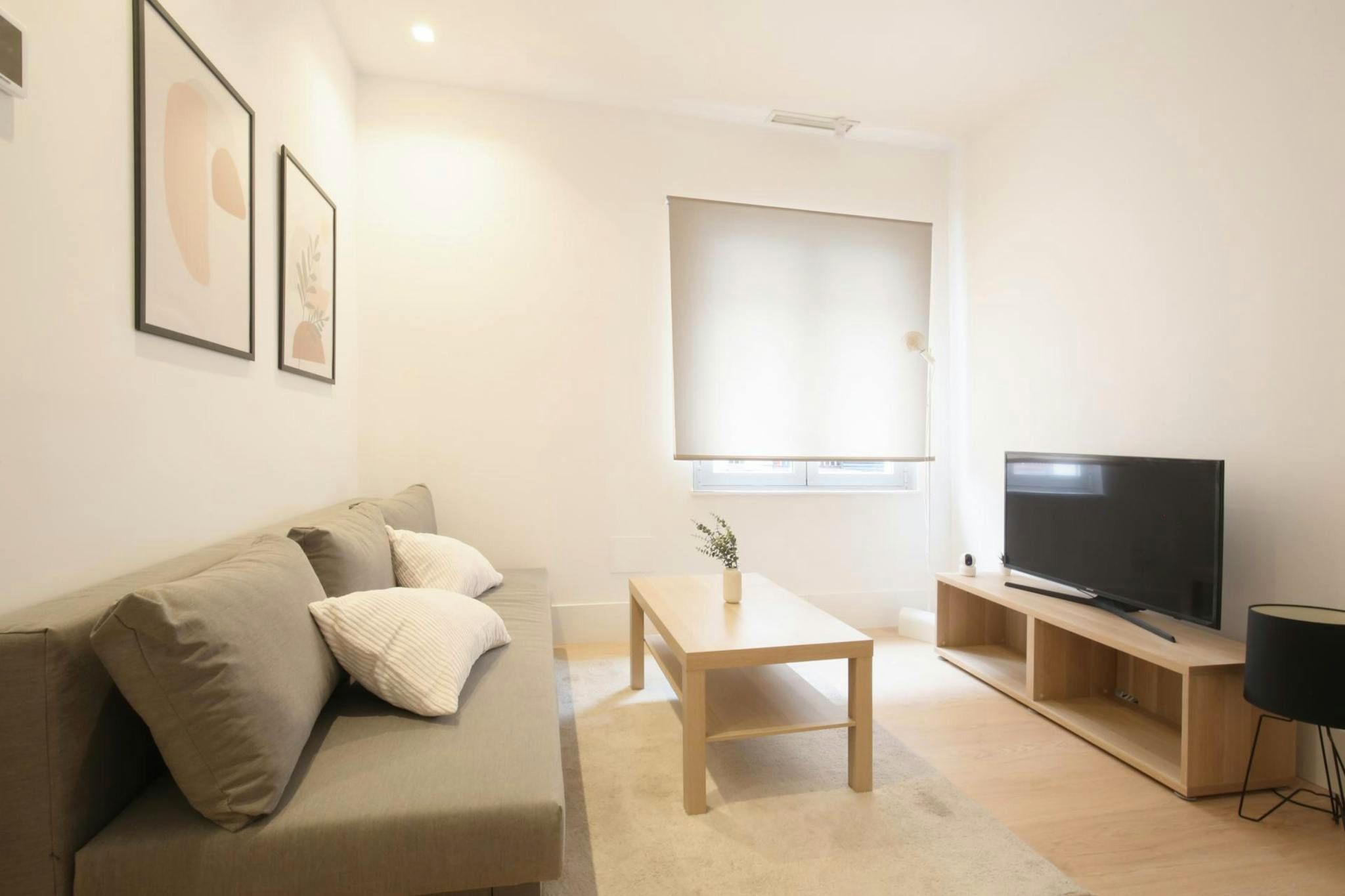 Living room of Flat to rent in  Madrid Capital  with Air Conditioner, Heating and Furnished