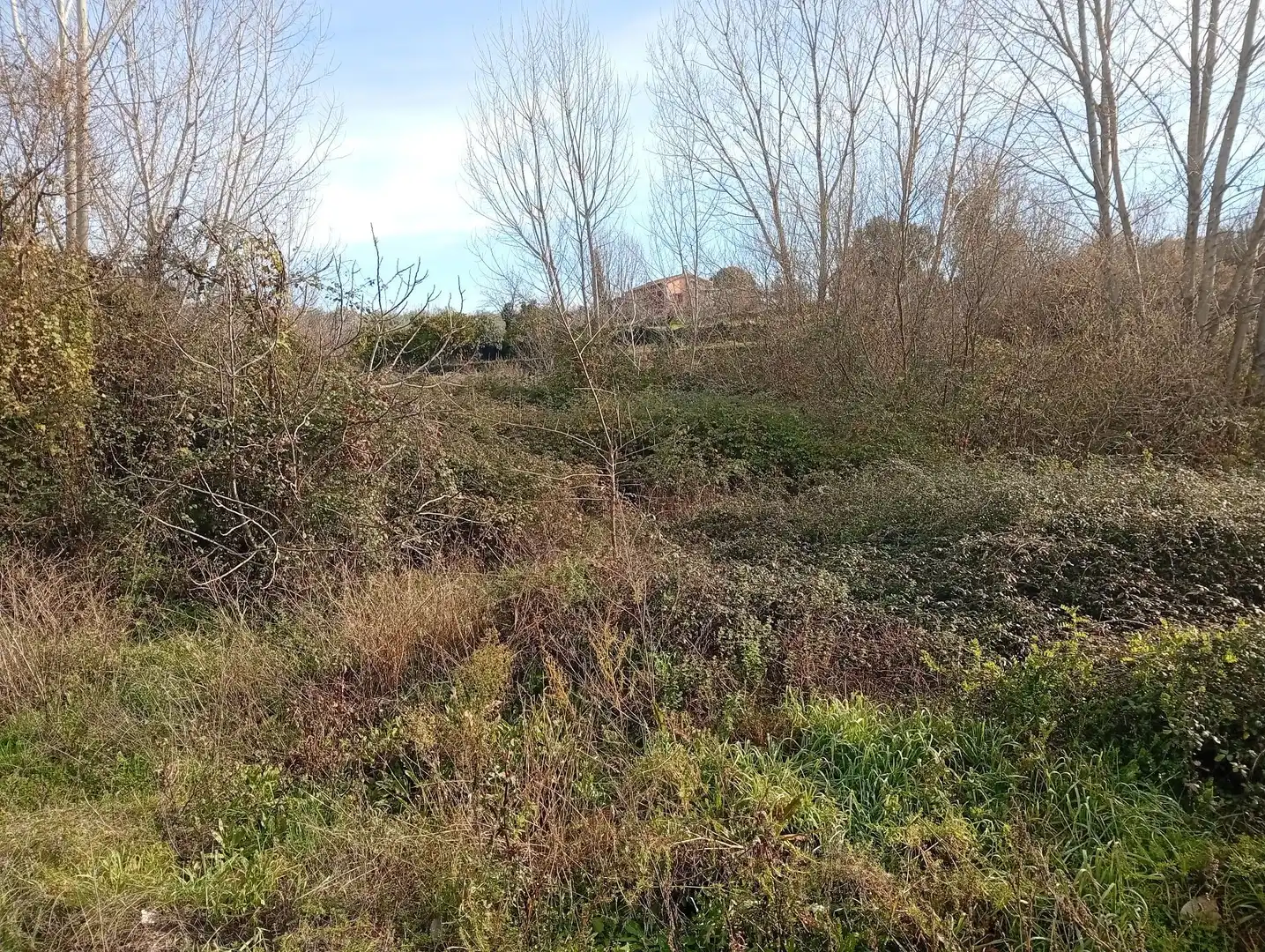 Terreni e lotti in vendita a Valverde de la Vera, imagen 2