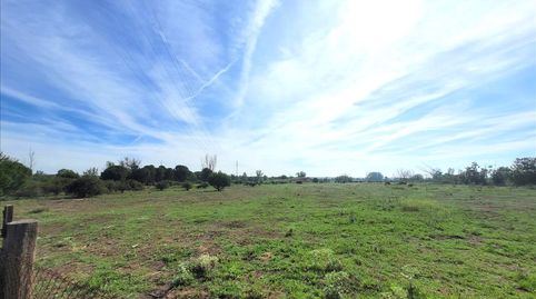 Foto 5 de Residencial en venda a 1 Parcela , Coreses, Zamora