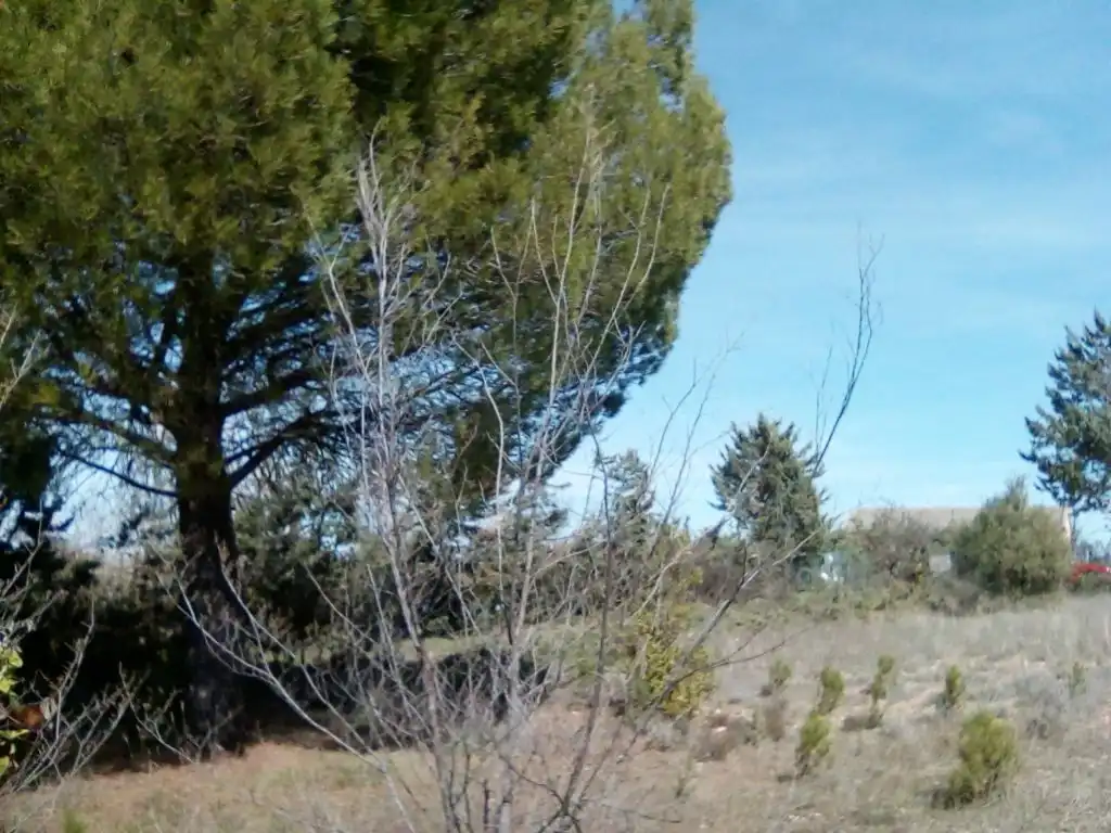 Terrenos y solares en venta en Hontoba, imagen 13