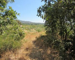 Land for sale in Viandar de la Vera