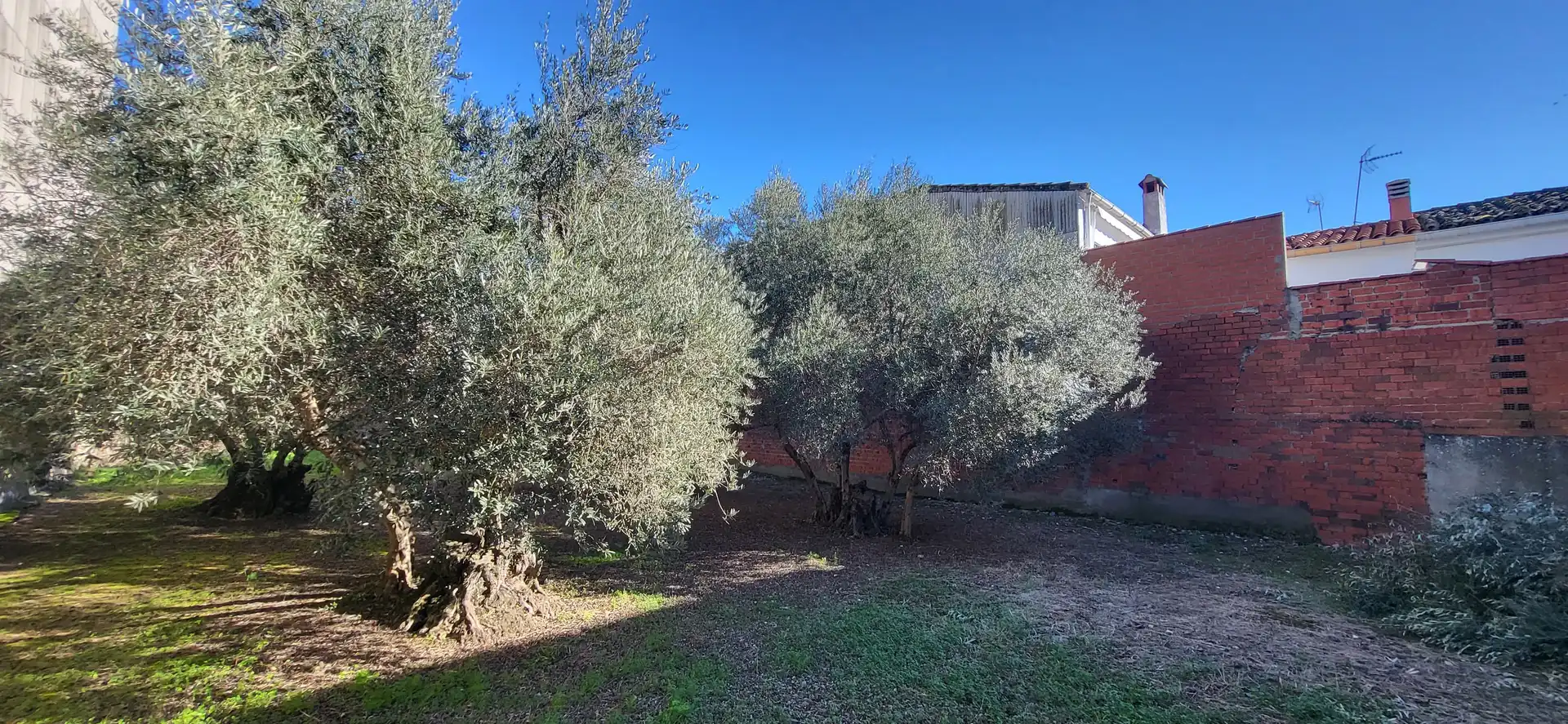 Terreni e lotti in vendita a Plaza San Gregorio, imagen 4