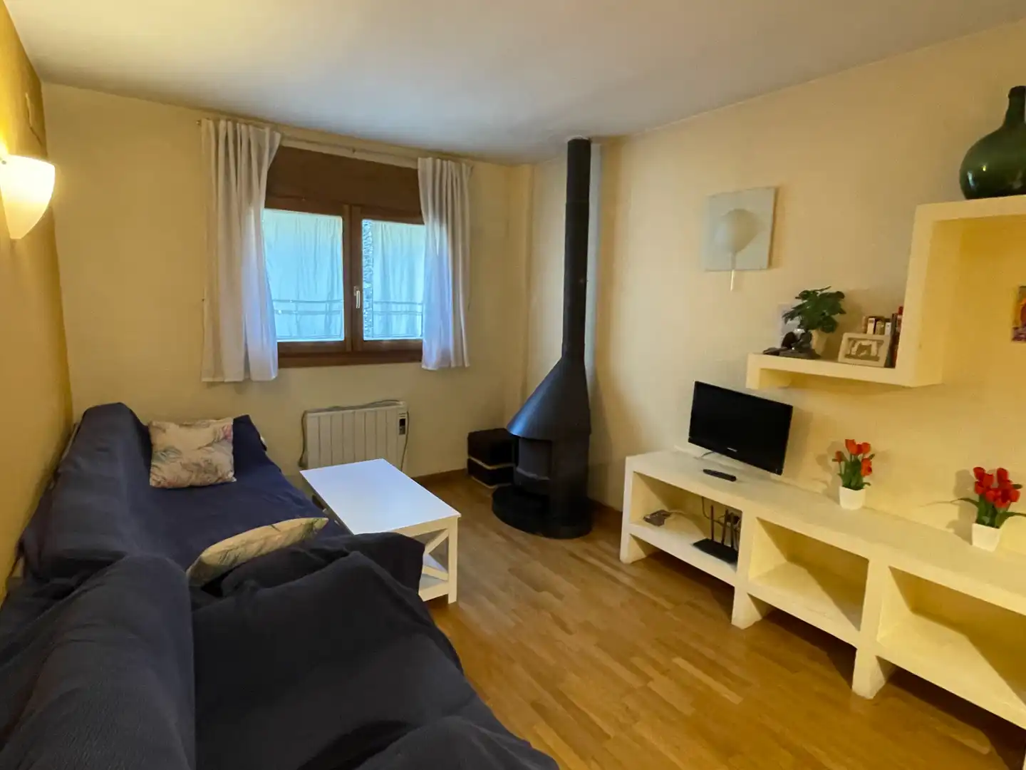 Wohnzimmer von Wohnungen zum Verkauf in Vall de Cardós mit Heizung, Parkett und Möbliert