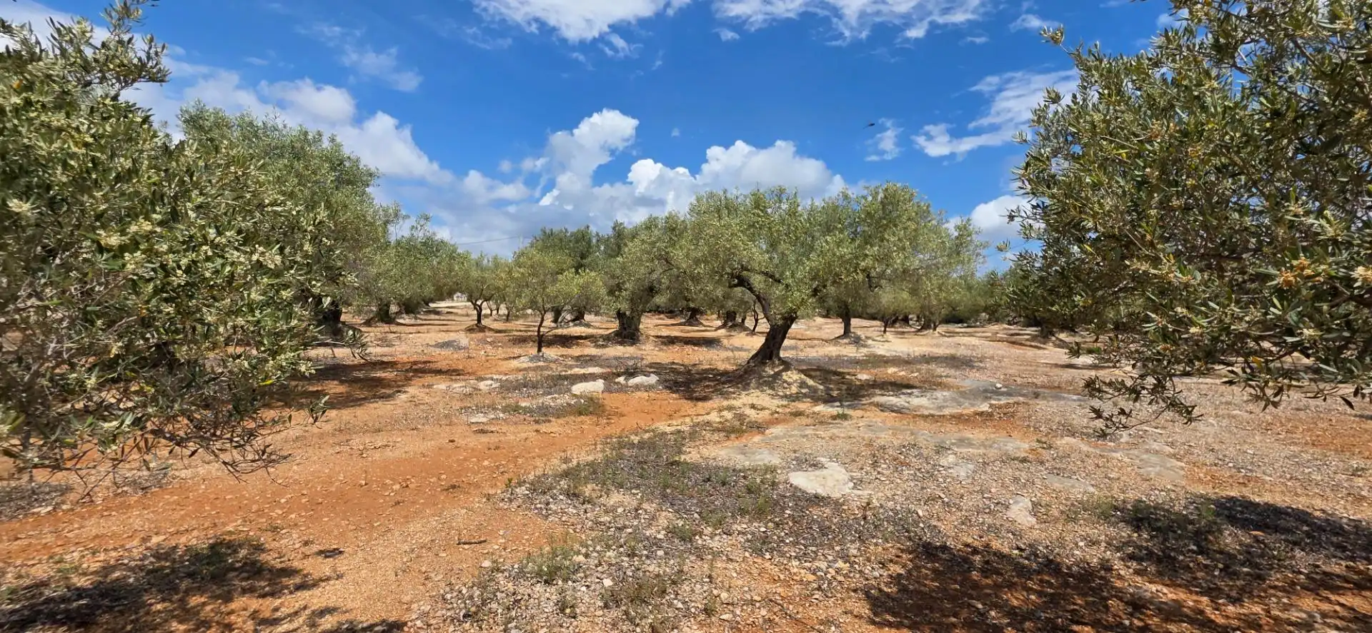Maison rustique à vendre à L'Ampolla, imagen 4