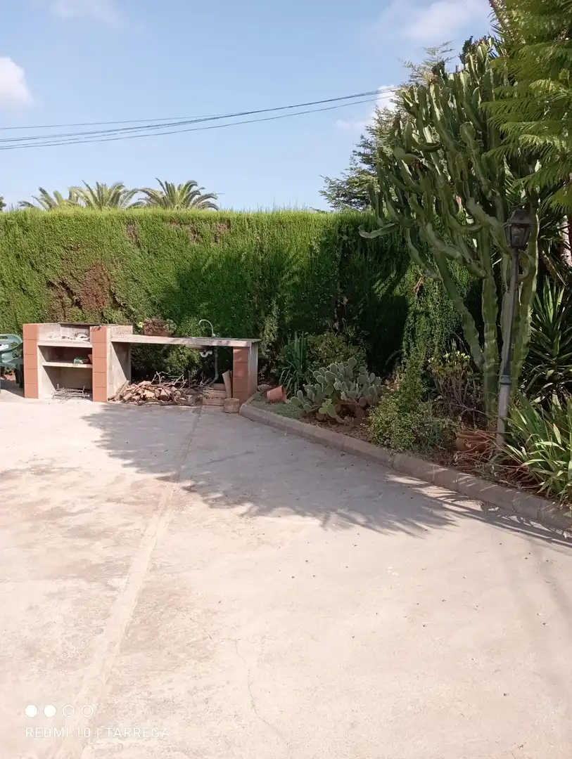 Garden of Houses for sale in Vila-real  with Private garden, Terrace and Swimming Pool