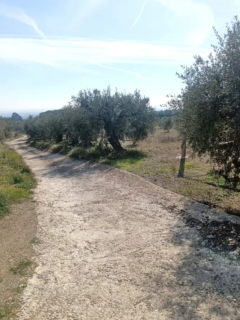 Terrain rustique à vendre à La Selva del Camp, imagen 15
