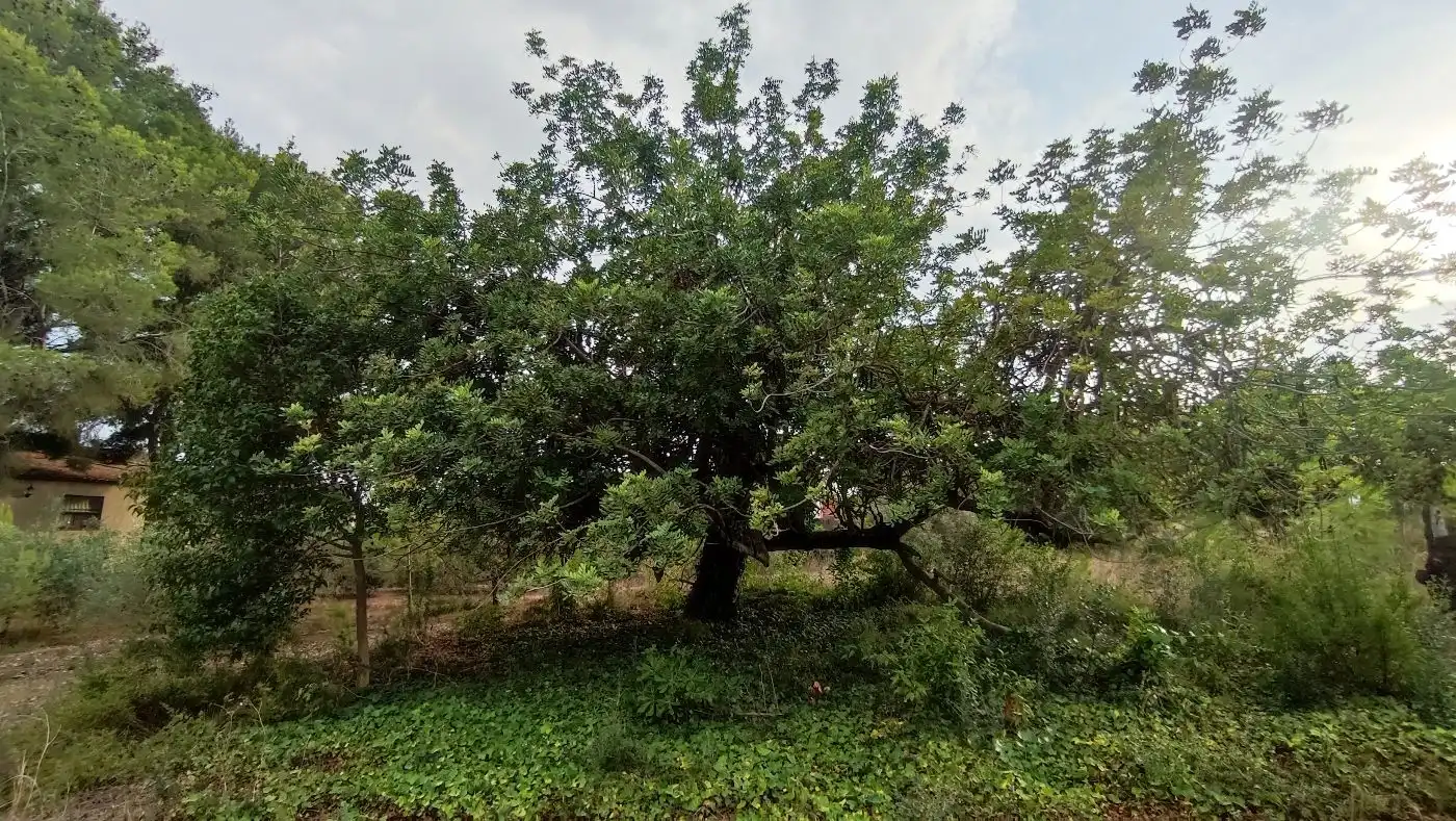 Finca rústica en venda en Valls amb Calefacció, Jardí privat i Terrassa