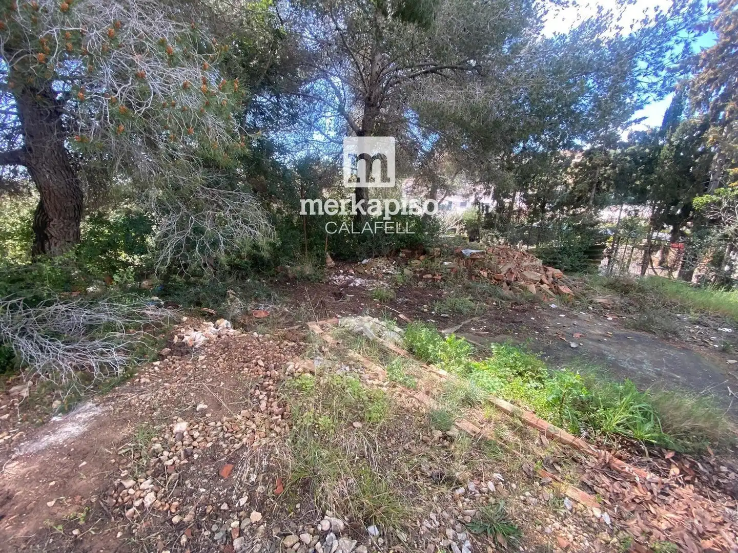 Terreny rústic en venda a Valldemar - Montmar, imagen 13