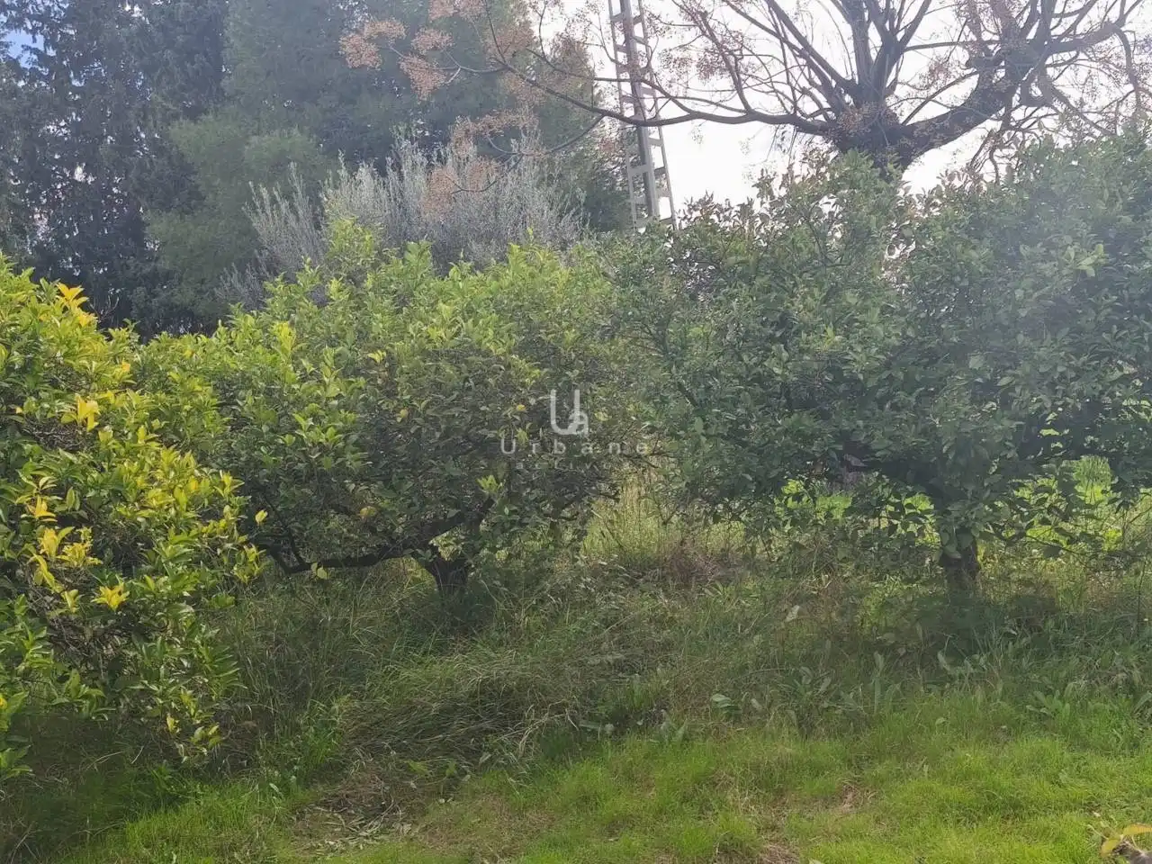 Finca rústica en venta en Murcia con Terraza