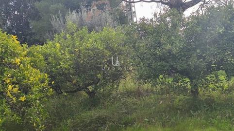 Photo 4 of Country house for sale in Albatalia,  Murcia Capital