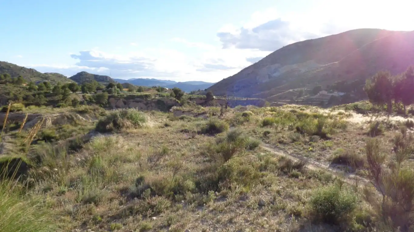 Terreno rustico in vendita a Partida CARREFOUR - FIGUERALET, imagen 11