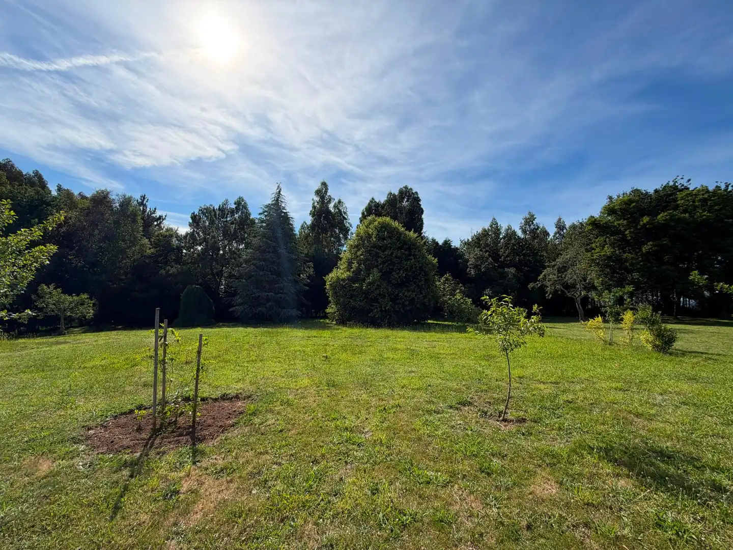 Land for sale in Fene