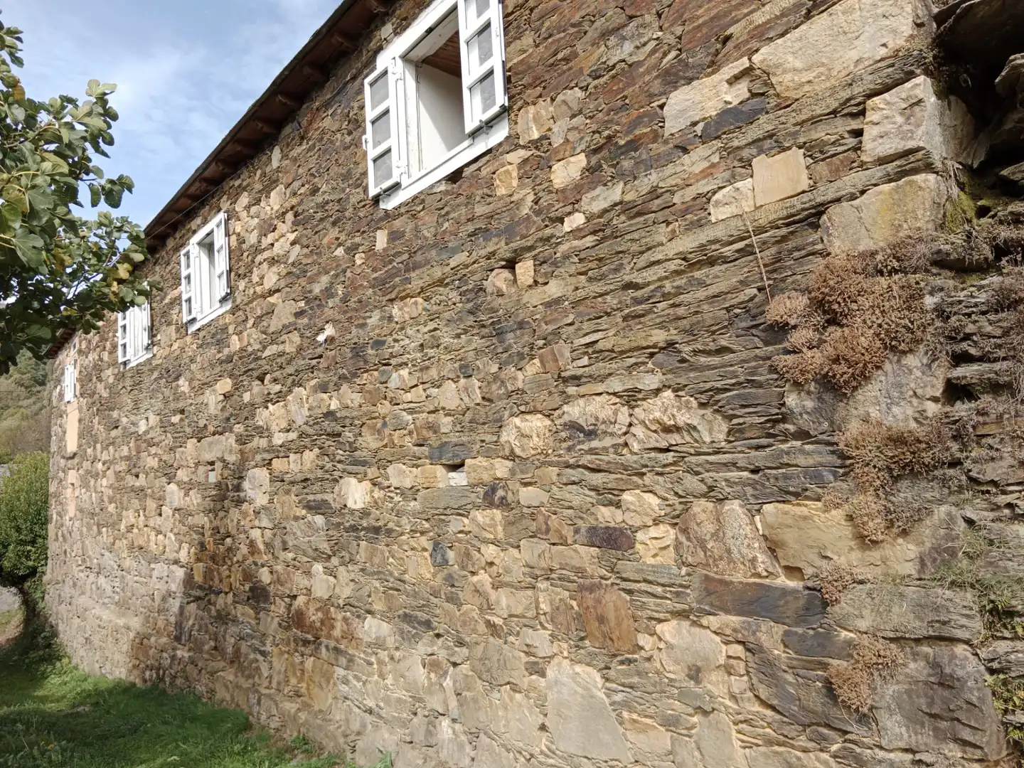 Vista exterior de Finca rústica en venta en Becerreá con Jardín privado y Amueblado