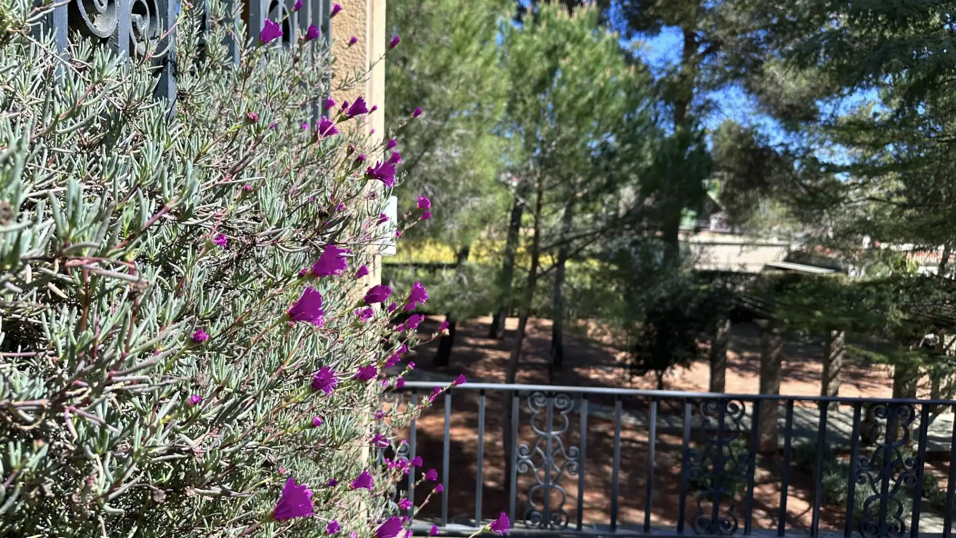 Jardín de Casa o chalet en venta en Terrassa con Aire acondicionado, Calefacción y Jardín privado