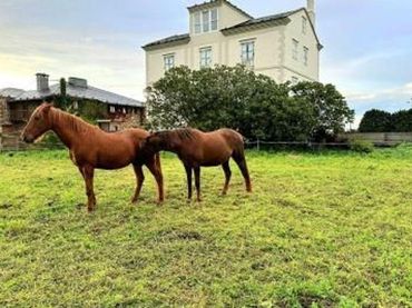 Terreni e lotti in vendita a Lugar Casa Calvario
