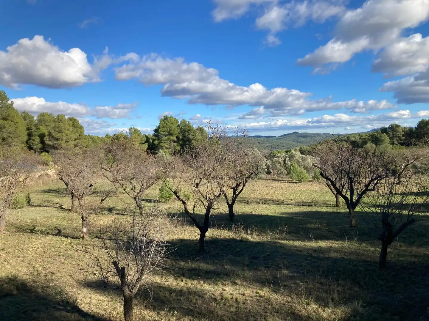 Terreno en venta en Arens de Lledó