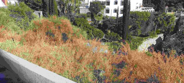 Terreno residencial en Venta en Cotobro