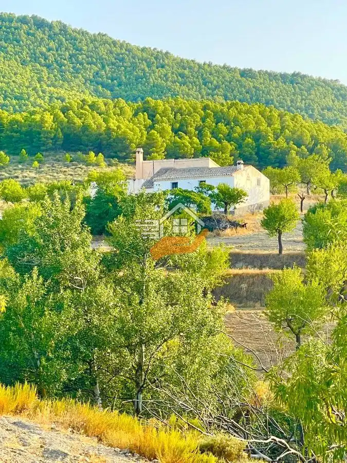 Country house for sale in Vélez-Rubio, imagen 7