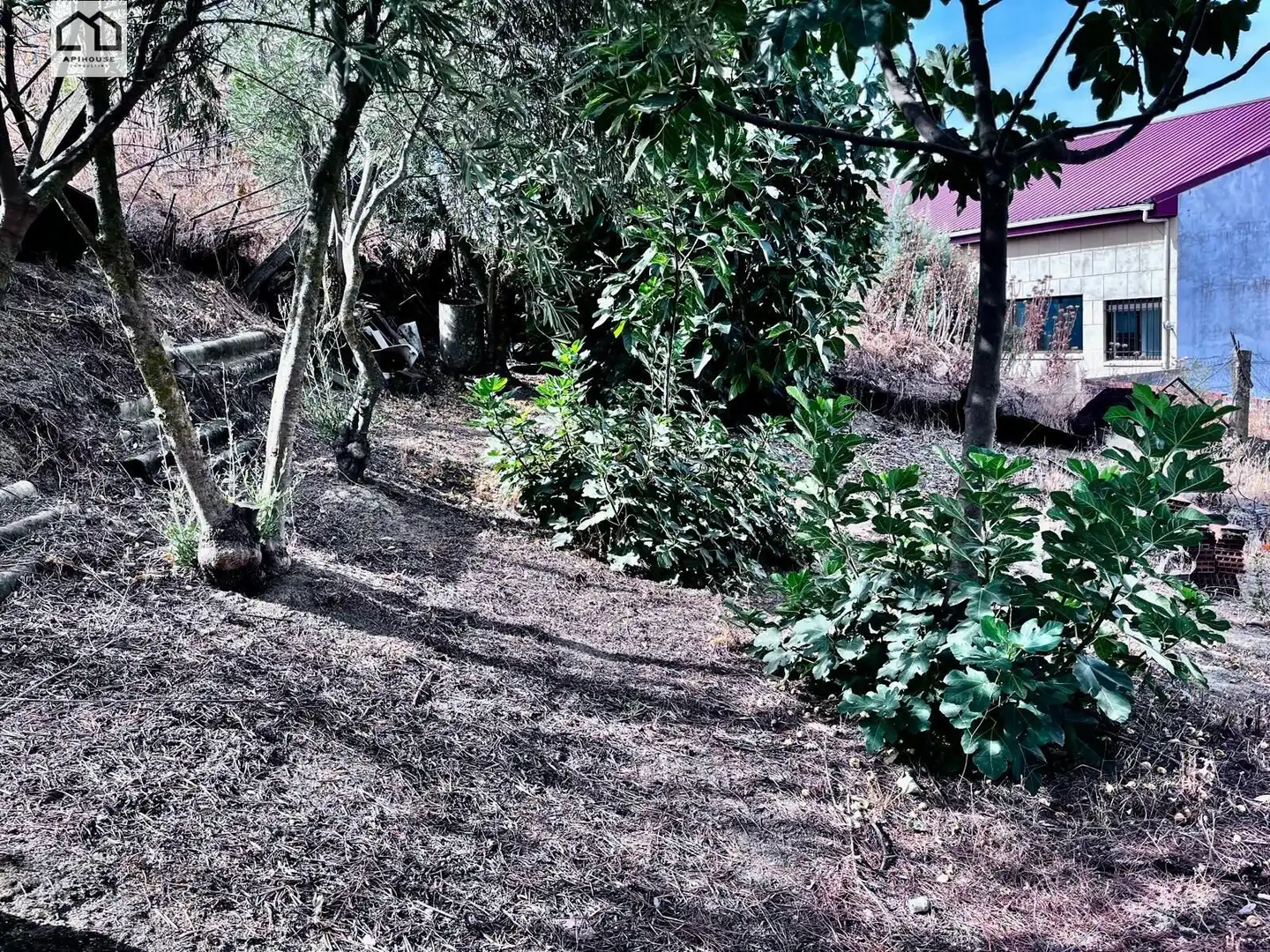 Finca rústica en venta en Montearagón