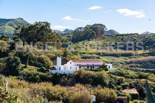 Finca rústica en Venta en Finca Hoya de la Cruz en Santa María de Guía de Gran Canaria