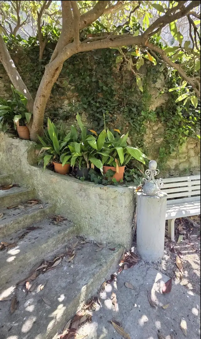 Jardín de Casa o chalet en venta en Monistrol de Montserrat con Jardín privado y Terraza