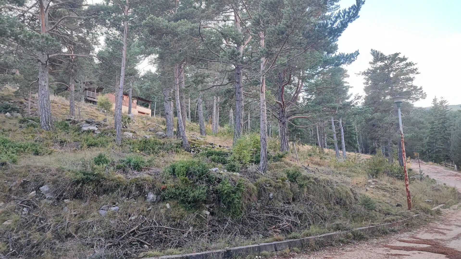 Terreny residencial en venda a La Coma i la Pedra, imagen 3