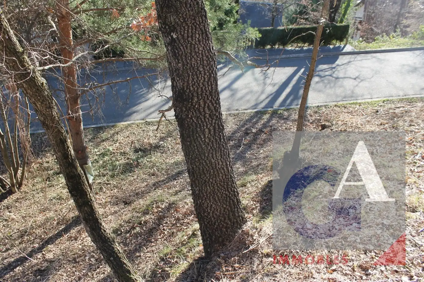Terrenos y solares en venta en Camprodon, imagen 6