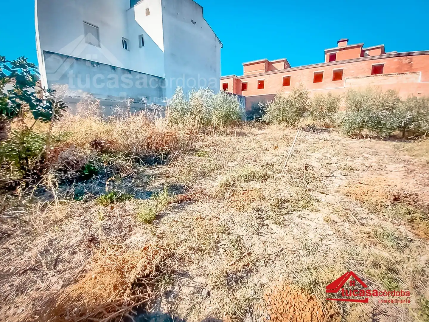 Finca rústica en venda en Guadalcázar